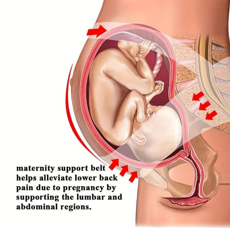 3 in 1 Pregnancy Back Support Belt Support Child Weight and Relieve Back Pressure